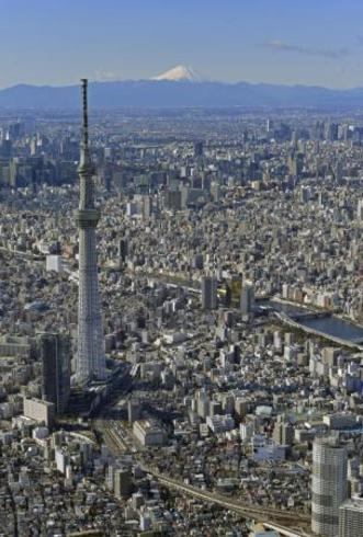 東京 ７１１人感染５人死亡 変異株疑い最多１１５人 全国 海外のニュース 徳島新聞