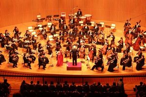 迫力ある演奏で観客を魅了するとくしま記念オーケストラ＝徳島文理大むらさきホール