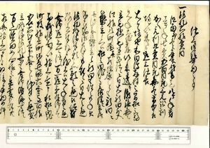 宝永南海地震の２８年後に分平が徳島藩に送った、和田島村の間ノ新田で地盤沈下があったことを示す文書（県立文書館提供）