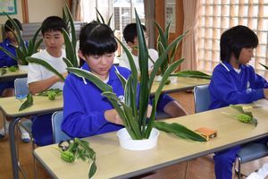 オモトを使った生け花に挑戦する児童＝那賀町の相生小学校