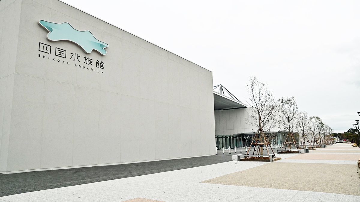 四国 水族館 オープン
