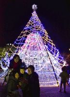 輝くクリスマスツリーの前で写真を撮る家族連れ＝阿南市富岡町の牛岐城趾公園