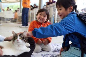 猫と触れ合う子どもたち=神山町阿野の県動物愛護管理センター