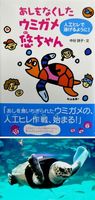 【上】子ども向けノンフィクションとして出版された「あしをなくしたウミガメ悠ちゃん」【下】人工ヒレを装着し、飼育プールを泳ぐアカウミガメの悠ちゃん＝２０１２年、神戸市立須磨海浜水族園（同館提供）