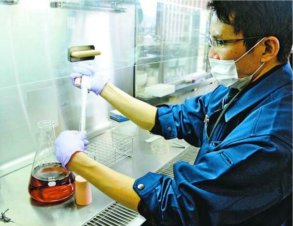 清酒新酵母実用化へ2種選抜し試験／県立工業技術センター